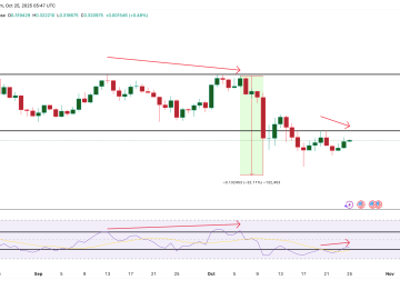 MAROKO133 Hot crypto: XLM Price Struggles Despite Steller’s On-Chain Growth – What’s Next?