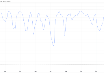 MAROKO133 Breaking crypto: TRUMP Coin Says Goodbye to Bitcoin, Charts Its Own Path Toward