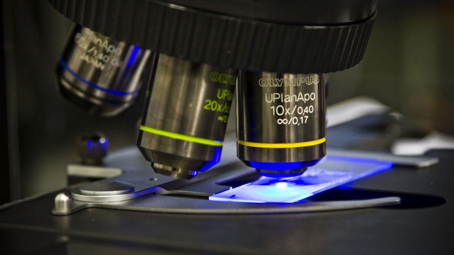 MAROKO133 Eksklusif ai: Dual-light microscope captures micro detail and nano motion with 1