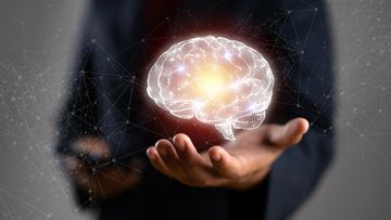 MAROKO133 Hot kesehatan: Studi Ungkap Para 'Night Owl' Punya Otak Lebih Encer Di