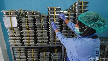 MAROKO133 Eksklusif kesehatan: BGN: Baru 3 Ribu dari 16 Ribu SPPG yang Kantongi Sertifikat