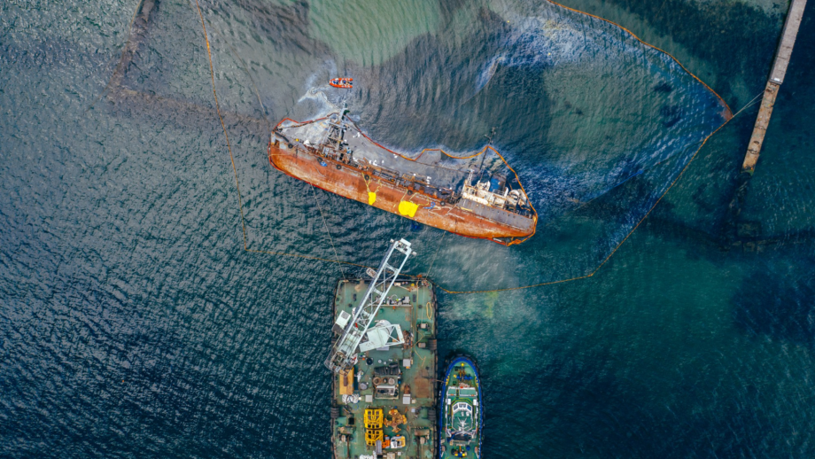 MAROKO133 Breaking ai: New species found thriving 13,123 feet below water surface during d