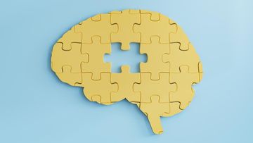 MAROKO133 Breaking kesehatan: Wajib Dicatat! Dokter Saraf Ungkap Kebiasaan yang Bikin Otak