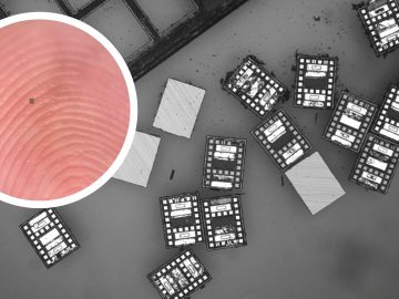 MAROKO133 Update ai: World’s smallest programmable robots think, swim, and sense temperatu