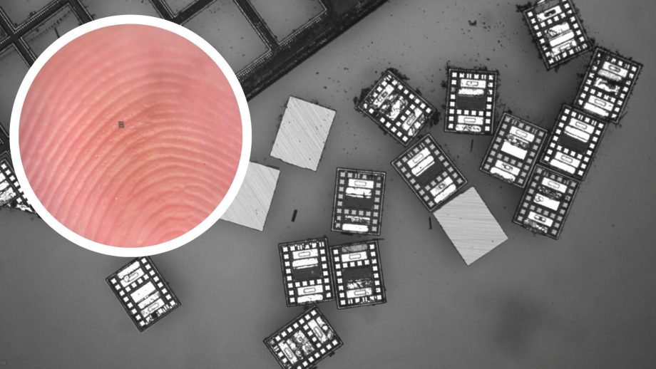 MAROKO133 Update ai: World’s smallest programmable robots think, swim, and sense temperatu