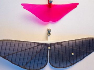 MAROKO133 Hot ai: US engineers’ new wing design helps small robots fly longer by gliding l