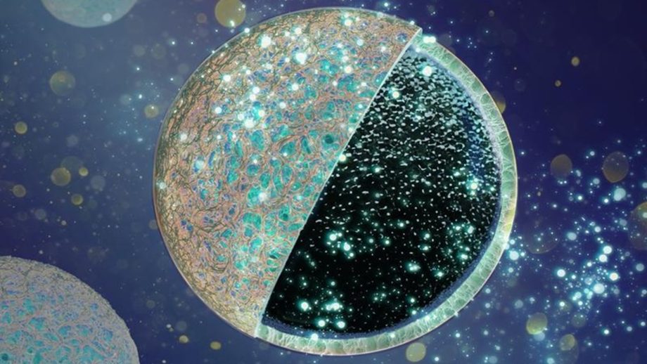 MAROKO133 Update ai: Cheap core-shell anode pushes sodium-ion battery efficiency to 82% on