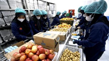 MAROKO133 Hot kesehatan: Gaduh Anggaran MBG Ramadan Disebut Dikorupsi, BGN Angkat Bicara T