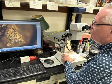 MAROKO133 Eksklusif ai: US grave-robbing case traced to suspects through microscopic moss