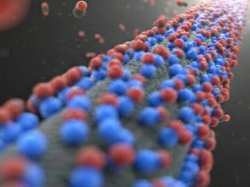 MAROKO133 Hot ai: Amine-functionalized carbon material releases CO2 at 140°F, cuts energy