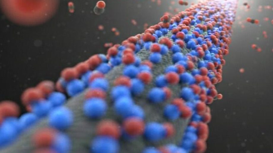 MAROKO133 Hot ai: Amine-functionalized carbon material releases CO2 at 140°F, cuts energy