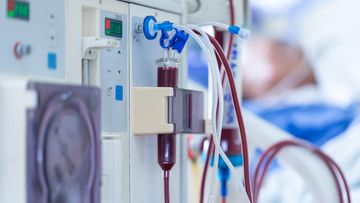 MAROKO133 Eksklusif kesehatan: 'Biang Kerok' Kasus Gagal Ginjal Ngegas di RI, Pe